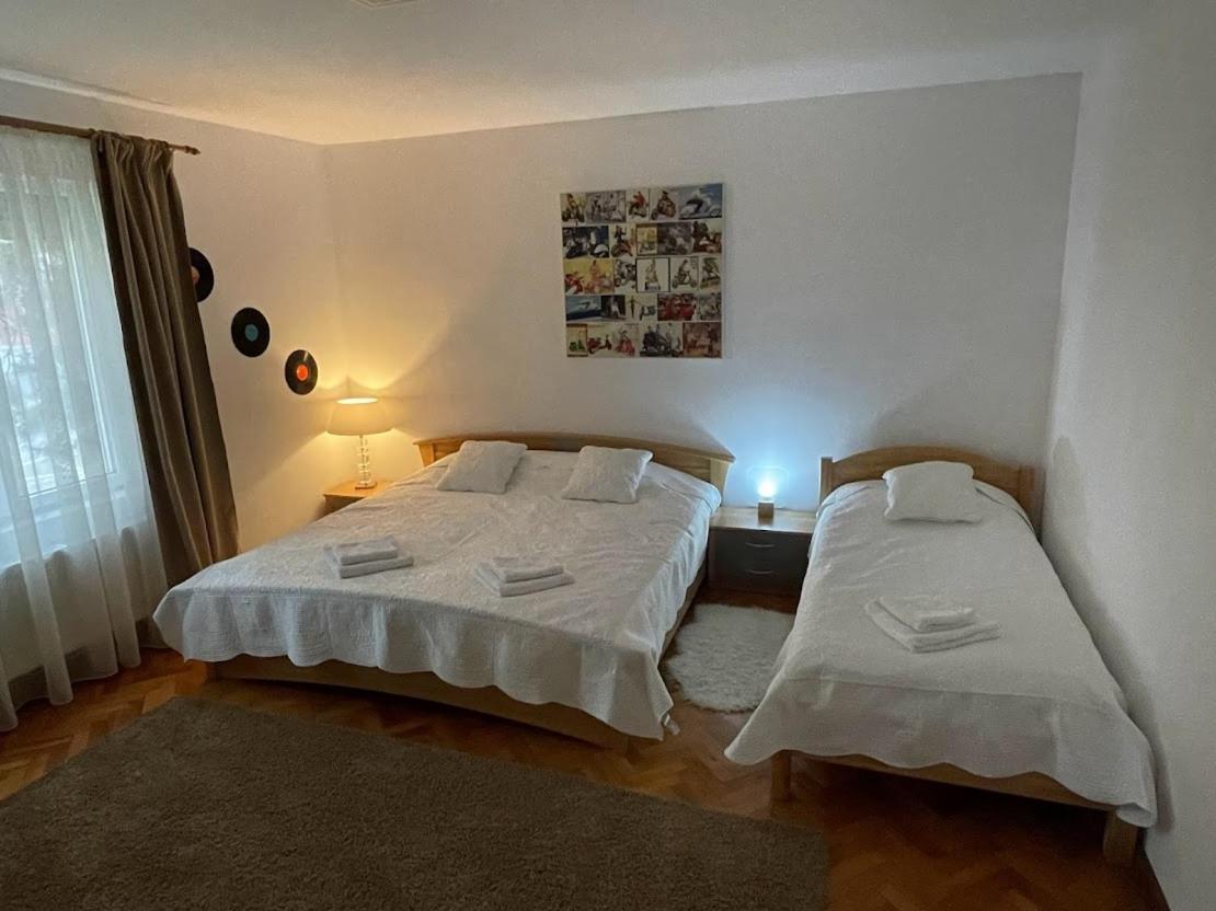 Crisan 40 Casa Muntean 100Mp 3Camere 3Paturi 1 Canapea 2 Dormitoare Parcare Timisoara Bagian luar foto