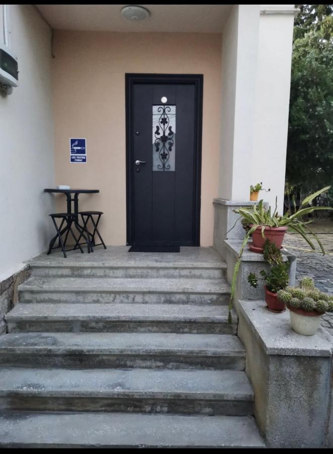 Crisan 40 Casa Muntean 100Mp 3Camere 3Paturi 1 Canapea 2 Dormitoare Parcare Timisoara Bagian luar foto